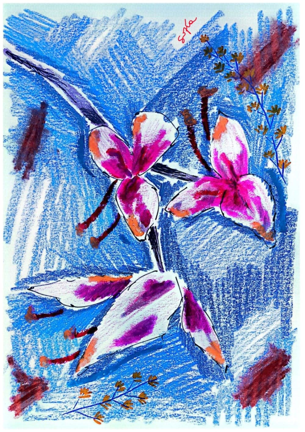 Sofia Robles - ilustración y arte ✨